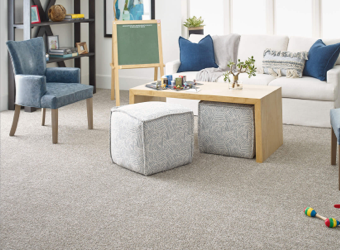 Carpet Inspiration | Chesapeake Family Flooring