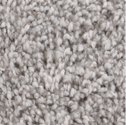 Carpet Texture | Chesapeake Family Flooring