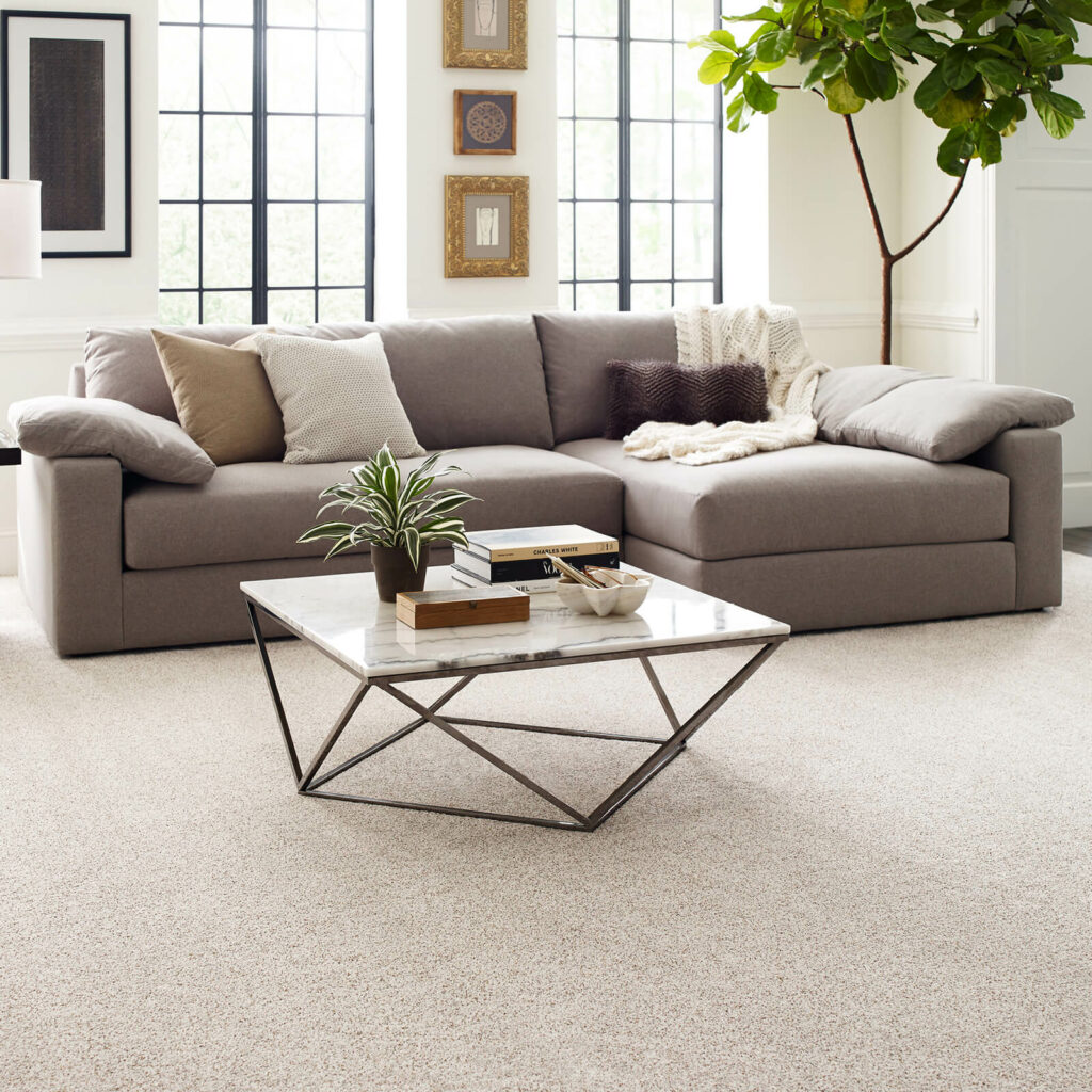 Living room carpet flooring | Chesapeake Family Flooring