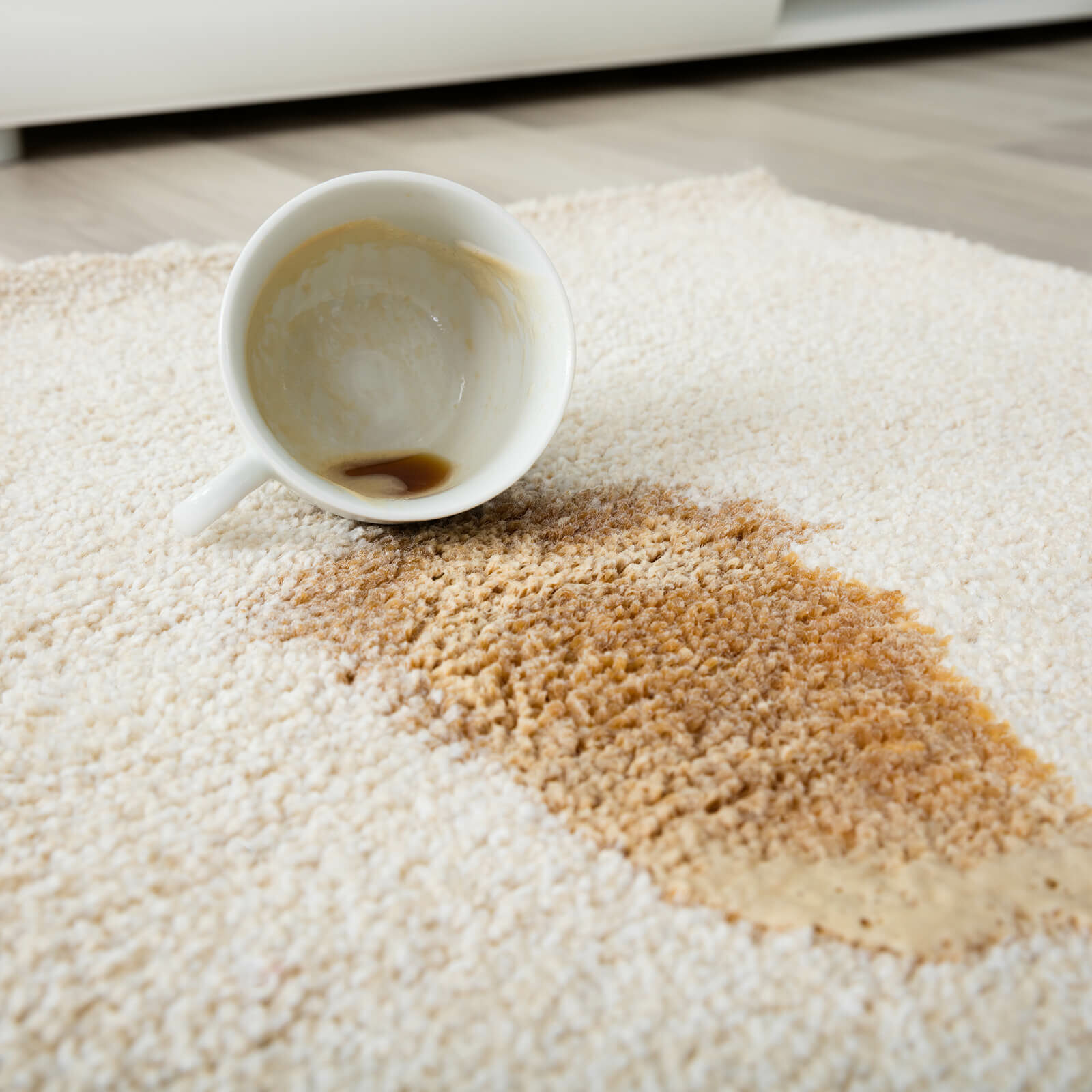 Cleaning Area Rugs | Chesapeake Family Flooring